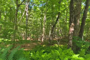 Lot 2 Holcomb Rd, Chester, MA 01011 - Photo 1