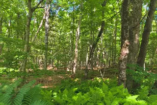 Lot 2 Holcomb Rd, Chester, MA 01011 - Photo 1