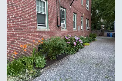 252 Harvard St #1, Cambridge, MA 02139 - Photo 2