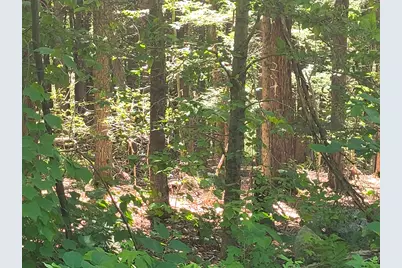 Lot 1.1 Skyline Trail, Middlefield, MA 01243 - Photo 2