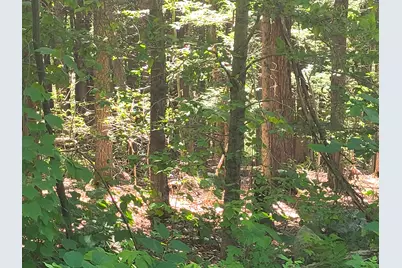 Lot 1.1 Skyline Trail, Middlefield, MA 01243 - Photo 2