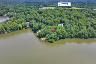 20 Litchfield Ave, Norfolk, MA 02056 - Photo 28