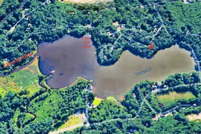 20 Litchfield Ave, Norfolk, MA 02056 - Photo 30