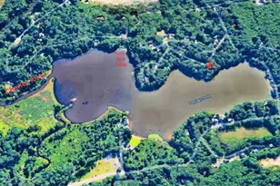 20 Litchfield Ave, Norfolk, MA 02056 - Photo 30