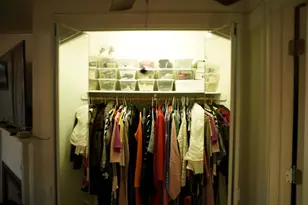 8 Beechwood St, Boston, MA 02121 - Photo 16