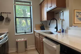 20 Linwood St, Boston, MA 02119 - Photo 2