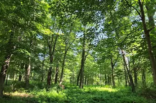 125 Topsfield Rd, Ipswich, MA 01938 - Photo 1