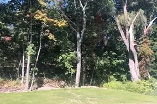 281 Cottage St, Franklin, MA 02038 - Photo 30