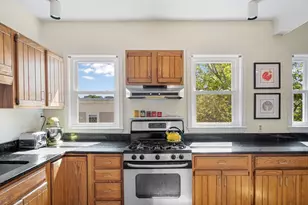 4 Linden Ct, Brookline, MA 02445 - Photo 16