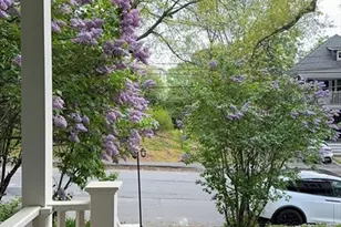 11 Eddy St, Newton, MA 02465 - Photo 18