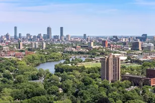 4 Gracewood Park, Cambridge, MA 02138 - Photo 36