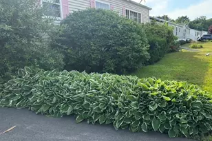 18 Tucker Terrace, Raynham, MA 02767 - Photo 2