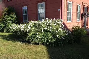 43 Summer St, Barre, MA 01005 - Photo 4