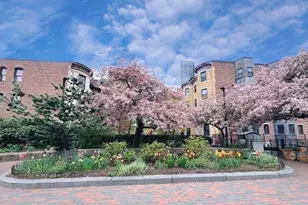 16 Claremont Park, Boston, MA 02118 - Photo 36