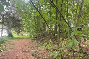 392 Mashapaug Rd, Holland, MA 01521 - Photo 32