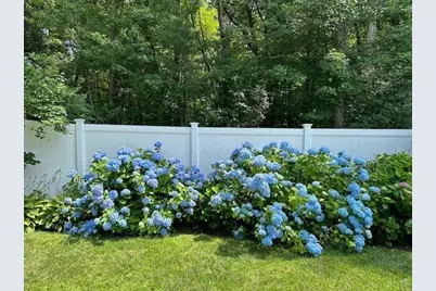 18 Hart St, Burlington, MA 01803 - Photo 4