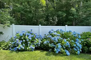 18 Hart St, Burlington, MA 01803 - Photo 4