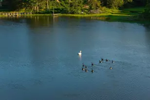 429 Highbank Rd, Yarmouth, MA 02664 - Photo 14