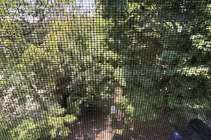 347 Wood Ave, Boston, MA 02126 - Photo 22