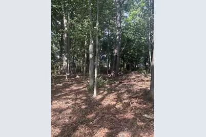 224 West Plain Street, Wayland, MA 01778 - Photo 8
