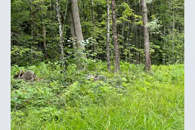 Lot 19 Becket Rd, Middlefield, MA 01243 - Photo 4