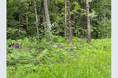 Lot 19 Becket Rd, Middlefield, MA 01243 - Photo 4