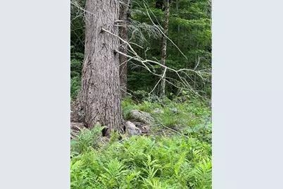 Lot 19 Becket Rd, Middlefield, MA 01243 - Photo 6