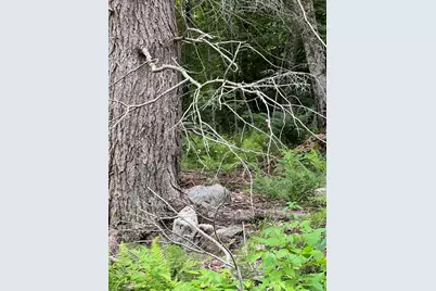 Lot 19 Becket Rd, Middlefield, MA 01243 - Photo 8