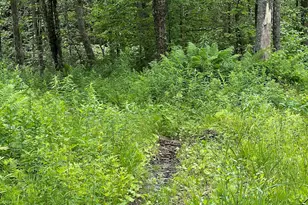 Lot 21 Becket Rd, Middlefield, MA 01243 - Photo 1