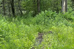 Lot 21 Becket Rd, Middlefield, MA 01243 - Photo 1