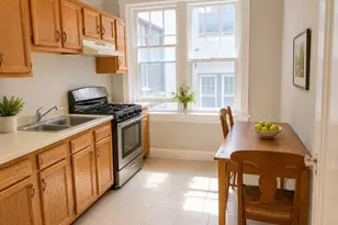 35 Mt Hood Rd, Boston, MA 02135 - Photo 8