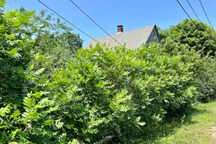 26 Winthrop Ave, Oak Bluffs, MA 02557 - Photo 2