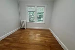 35 Mount Hood, Boston, MA 02435 - Photo 24