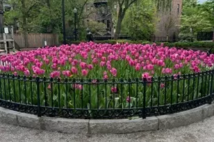 193 W Canton St, Boston, MA 02116 - Photo 12