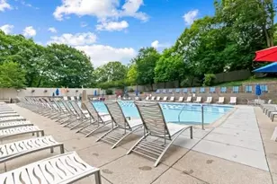 77 Pond Ave, Brookline, MA 02445 - Photo 8
