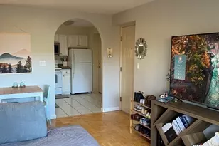 329 Harvard St, Cambridge, MA 02139 - Photo 4