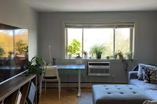 329 Harvard St, Cambridge, MA 02139 - Photo 2