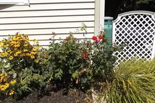 5 Milan Ave, Woburn, MA 01801 - Photo 30
