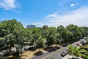 44 Washington St, Brookline, MA 02446 - Photo 14
