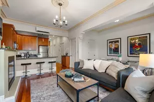 31 Millmont St, Boston, MA 02119 - Photo 8