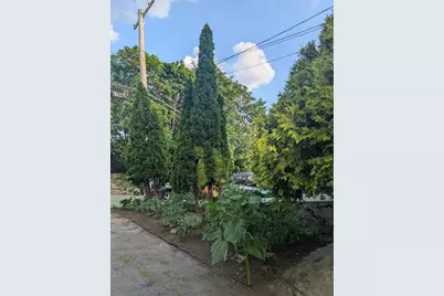 18 Windsor Ave, Lynn, MA 01902 - Photo 4