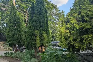 18 Windsor Ave, Lynn, MA 01902 - Photo 4