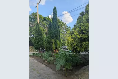 18 Windsor Ave, Lynn, MA 01902 - Photo 4