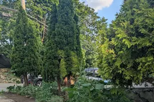 18 Windsor Ave, Lynn, MA 01902 - Photo 4