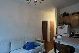 8 Milford, Boston, MA 02118 - Photo 4