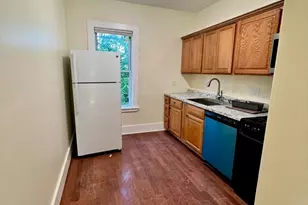 22 Anita Terrace, Boston, MA 02119 - Photo 6