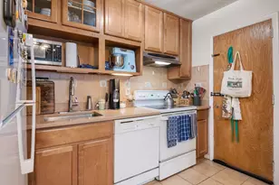 2 Larose Pl, Boston, MA 02135 - Photo 10