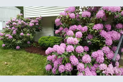 48 Badger Rd, Framingham, MA 01702 - Photo 38