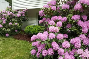 48 Badger Rd, Framingham, MA 01702 - Photo 38
