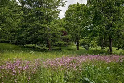 109 Under Mountain Rd, Lenox, MA 01240 - Photo 4